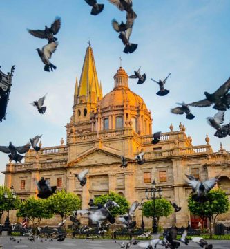 diseño de paginas web en guadalajara