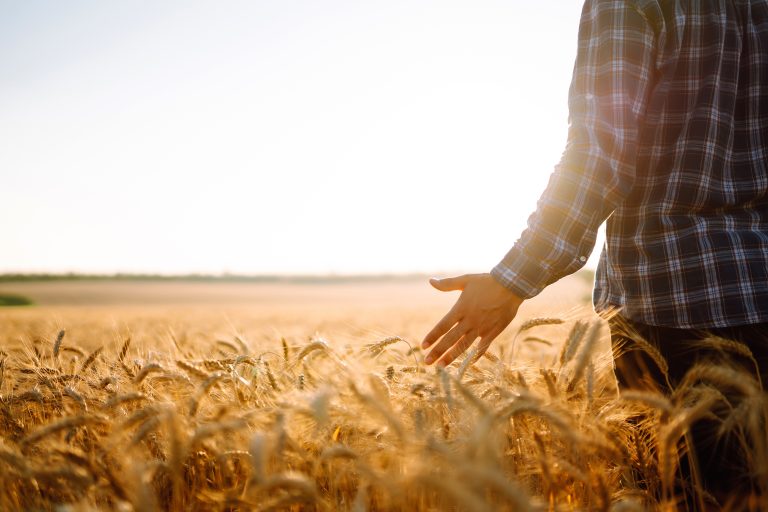 Marketing para agricultores: Estrategias efectivas para aumentar ventas
