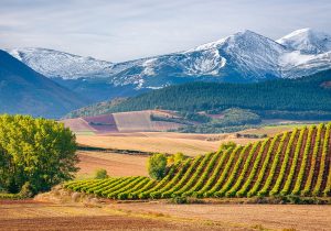 Diseño web La Rioja