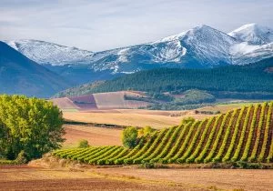 Diseño web La Rioja