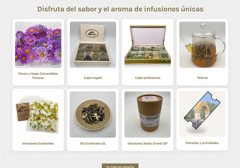 Por qué una web seguía redirigiendo al dominio antiguo después de migrarla