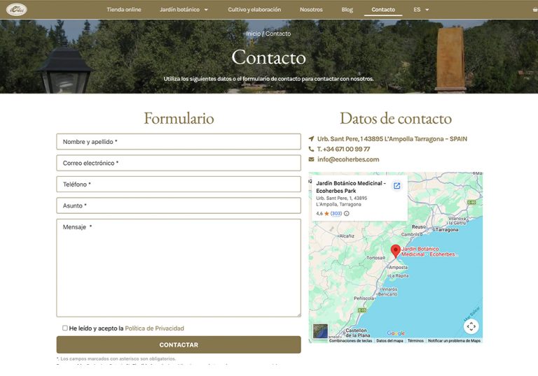 Cómo reconstruimos una web WordPress sin depender de Elementor