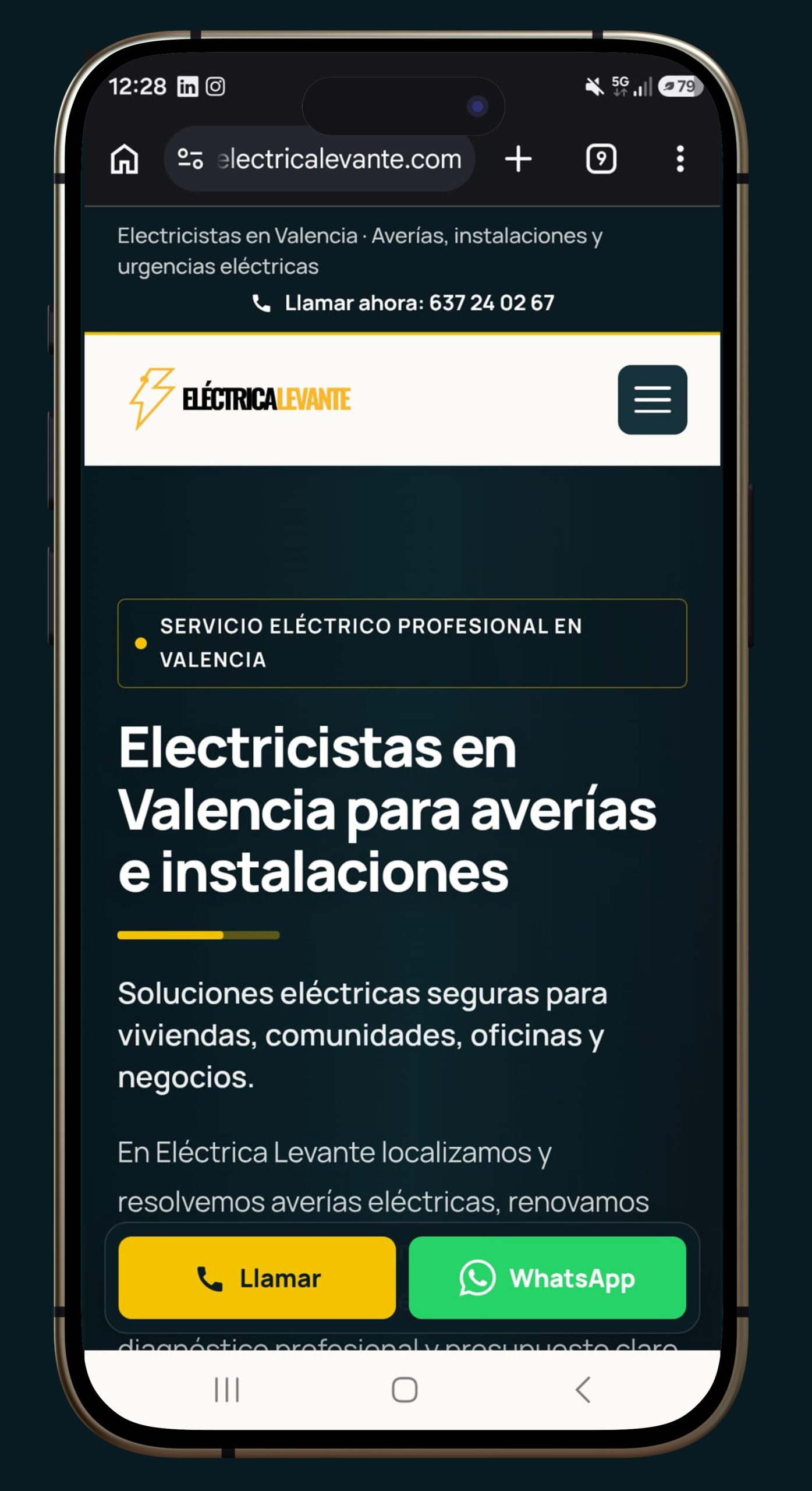 Proyecto Electrica Levante